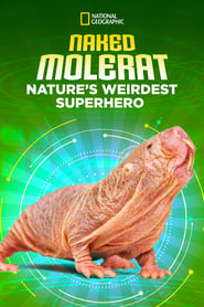 Naked Molerat Natures Weirdest Superhero