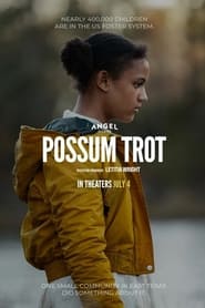 Sound of Hope The Story of Possum Trot' Poster