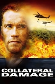 Collateral Damage' Poster