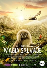 Colombia Wild Magic