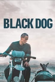 Black Dog' Poster