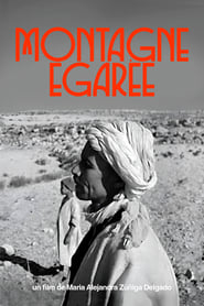 Montagne gare' Poster