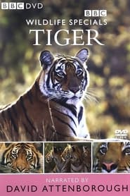 Tiger The Elusive Princess' Poster