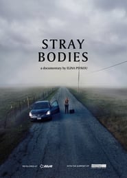 Stray Bodies' Poster