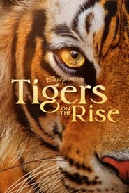 Tigers on the Rise' Poster