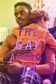 The Gay Agenda 14' Poster