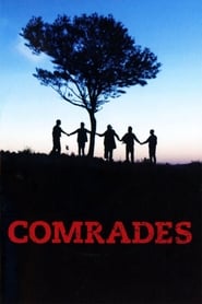 Comrades' Poster