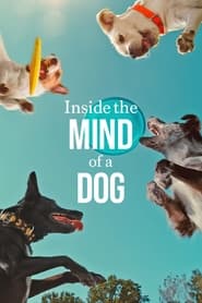 Streaming sources forInside the Mind of a Dog