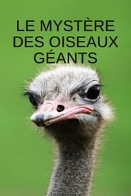 Le mystre des oiseaux gants' Poster