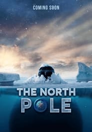 The North Pole' Poster