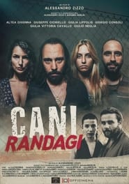 Cani Randagi' Poster