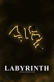 Labyrinth' Poster