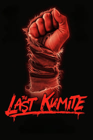 The Last Kumite' Poster
