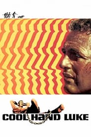 Streaming sources forCool Hand Luke