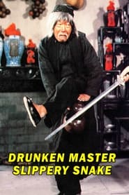 Mad Mad Kung Fu' Poster