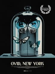 Ovid New York' Poster