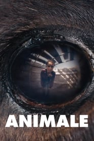 Animale' Poster