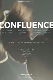 Confluence A Meditation in Documentary Form' Poster