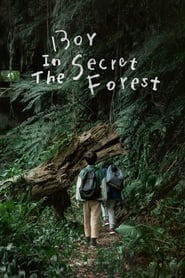 Boy in the Secret Forest' Poster