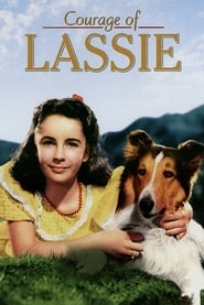 Courage of Lassie' Poster