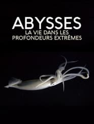 Extreme der Tiefsee  Abysses' Poster