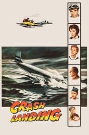 Crash Landing' Poster