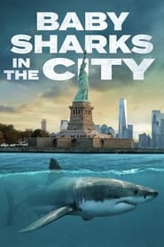 Baby Sharks in the City' Poster