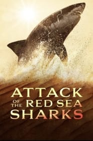 Attack Of The Red Sea Sharks' Poster