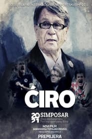 iro' Poster