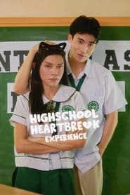 Highschool Heartbreak Experience' Poster