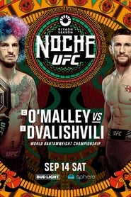 UFC 306 OMalley vs Dvalishvili