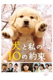 10 Promises to My Dog' Poster