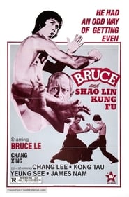 Bruce and Shaolin Kung Fu' Poster