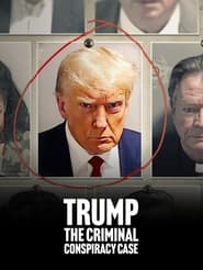 Trump The Criminal Conspiracy Case' Poster