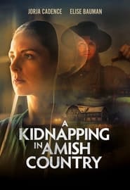 A Kidnapping In Amish Country' Poster