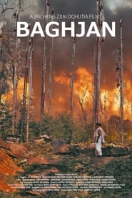 Baghjan' Poster