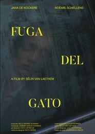 Fuga Del Gato' Poster