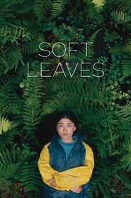 Soft Leaves' Poster