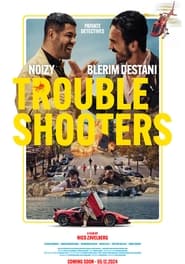 Troubleshooters' Poster