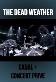 The Dead Weather Live at Concert Prive Canal 