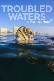 Troubled Waters A Turtles Tale' Poster