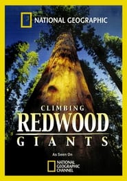 Climbing Redwood Giants' Poster