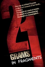 21 Grams In Fragments' Poster