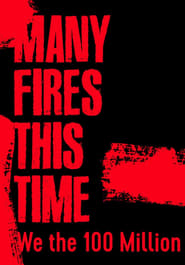 Many Fires This Time We the 100 Million' Poster