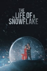 The Life of a Snowflake' Poster