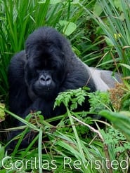 Gorillas Revisited with Sir David Attenborough' Poster