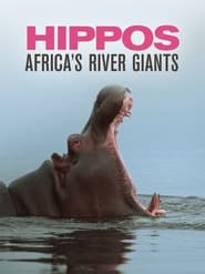 Hippos Africas River Giants' Poster