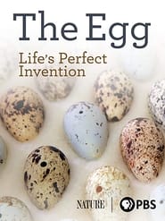 The Egg Lifes Perfect Invention' Poster