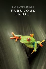 Fabulous Frogs' Poster