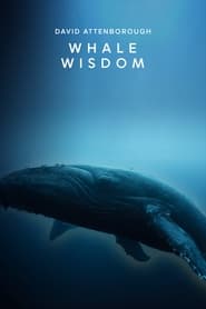 Whale Wisdom' Poster